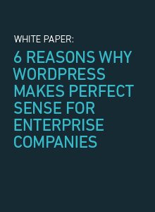 6 Reasons Why WordPress Makes Sense for Enterprises