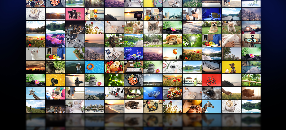 How to create a WordPress video gallery